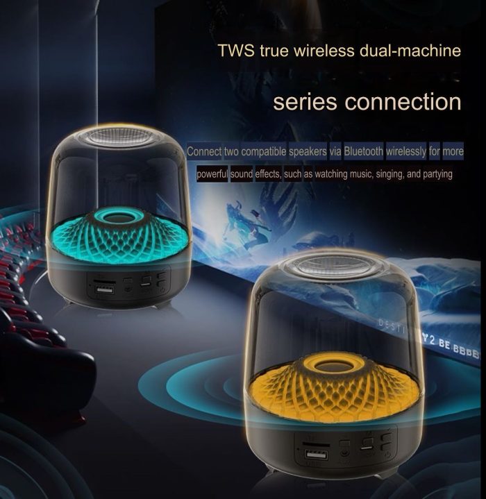 The Liuli 4th Generation Subwoofer