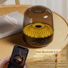 The Liuli 4th Generation Subwoofer