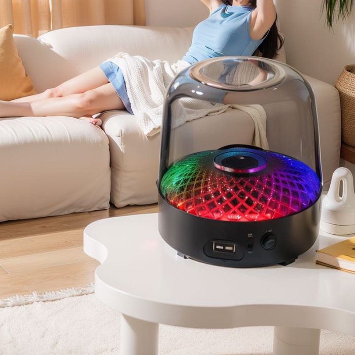 The Liuli 4th Generation Subwoofer